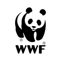 Stage assistant de développement