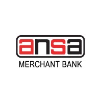 Strategy and Transformation Analyst