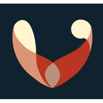Executive Director | Ilumina