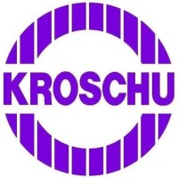 Software Developer