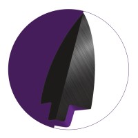 Policy and Program Analyst