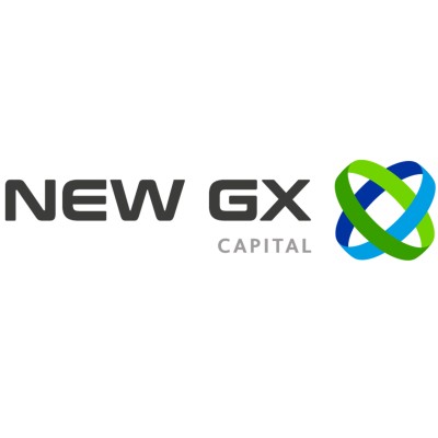 Executive: Mergers & Acquisitions