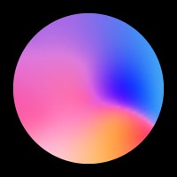 Full stack developer