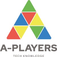 Product Owner / Project Manager