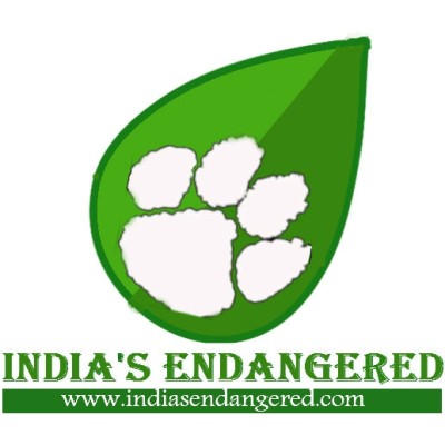 Founder & Editor