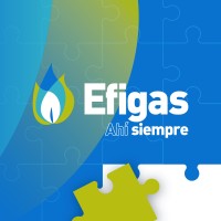 Profesional de proyectos
