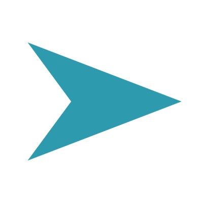 Senior Customer Relationship Manager/Project Manager/Vice President