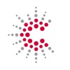 Program Manager for Avaya