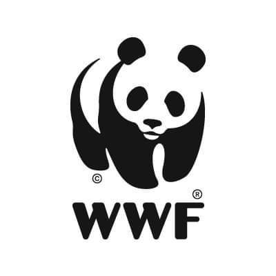 Digital Transformation Advisor