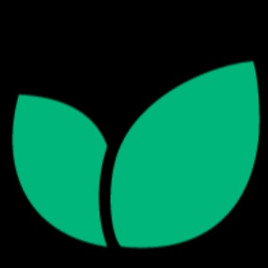 Head of Marketing / Co-Founder