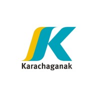 Project Manager