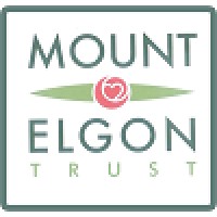 Assistant Project Manager