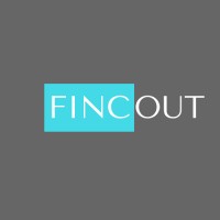 Consulting Chief Financial Officer
