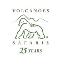 Sales Manager