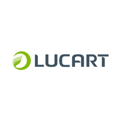 Assistant Accountant