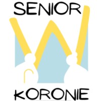 Vice President (pro-bono)