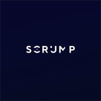 Node.js developer