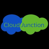 Salesforce Business Analyst
