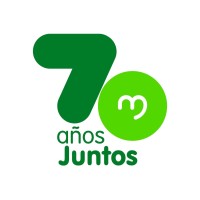 Gestora de equipo- Plan maestro de Iluminación