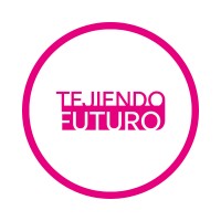 Director de proyecto