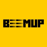 User Experience Consultant