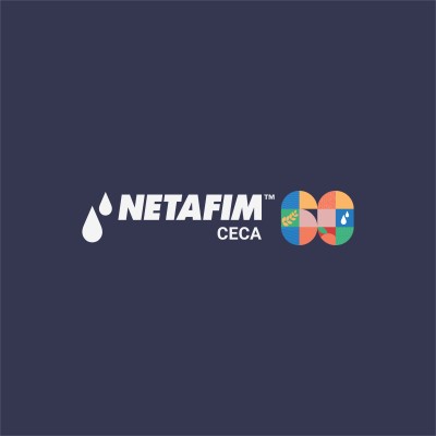 Analista de Inteligencia de Mercado