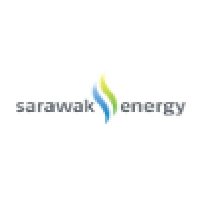 Senior Executive