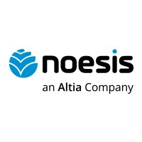 I.T. Consultant