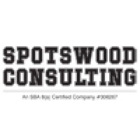 IT Director / Regional Business Development Executive – APJ
