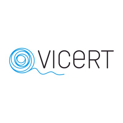 Software Developer