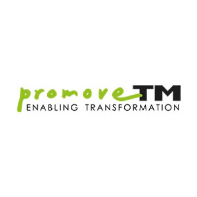 Project Manager
