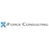 System Developer