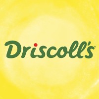 Financial Accountant