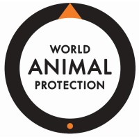 Digital Officer, World Animal Protection, Remote (FTC).