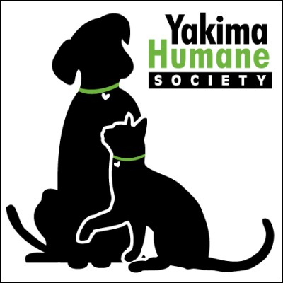Executive Director