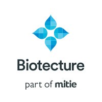 Marketing and content creation executive
