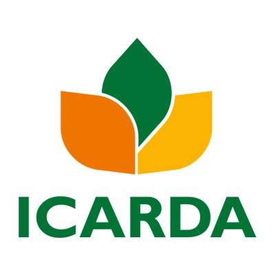 Senior Project Accountant
