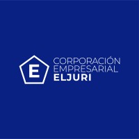 Tech lead // Developer