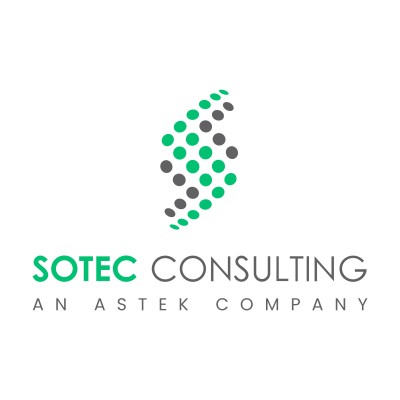 IT Consultant