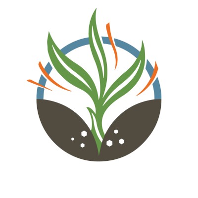 Director of Finance And Accounting