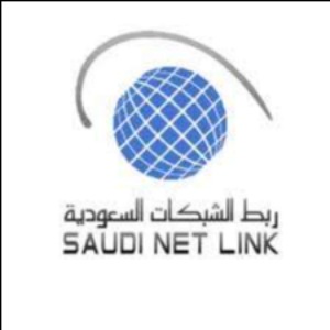 System Analyst