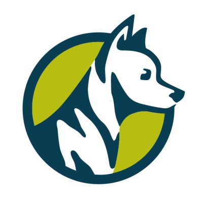 Digital Director