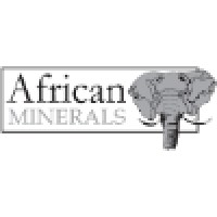 SAP Project Accounting Analyst