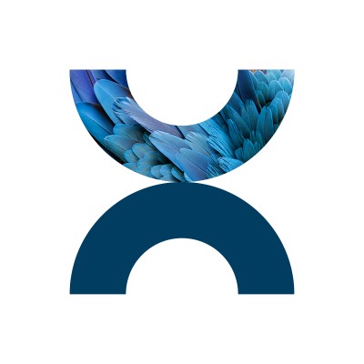 Design Director