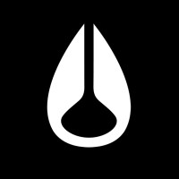 Director Of Operations