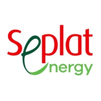 Business Application Portfolio Team Lead