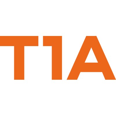 Information Technology Consultant