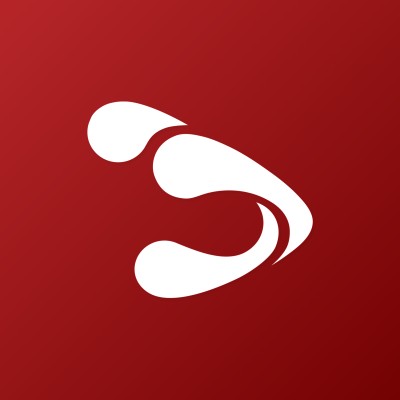 Project/Program Manager