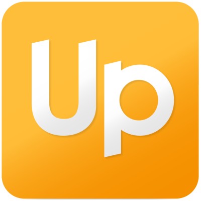 Senior Business Analyst and IT Coordinator