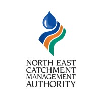 Social Media Coordinator